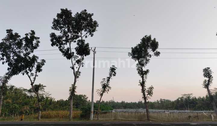 Tanah Dijual 1100 meter dekat Bandara YIA, pinggir jalan besar, Lebar Depan : 16 meter, Lokasi Strategis 2