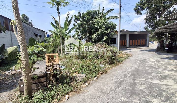 Tanah Jogja Murah Dekat Kampus UGM