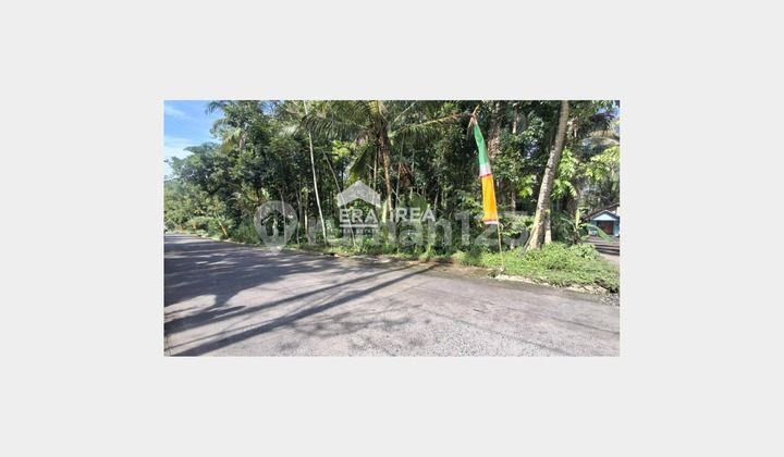 Tanah Dijual Jogja Cangkringan Dekat Kalurahan Glagahharjo Tanah Dijual Jogja Cangkringan Dekat Kalurahan Glagahharjo