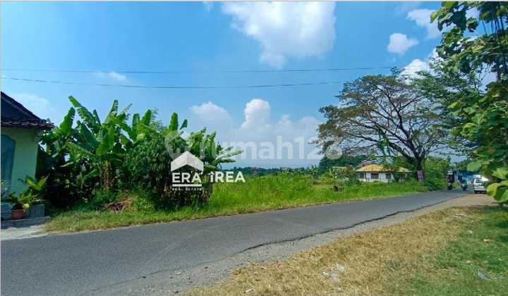 Leased Land in Banguntapan, Area 1 Hectare, near UAD Campus, close to Giwangan Terminal