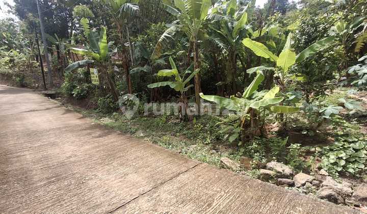 Cheap Land in Jogja Near UMY Campus Cheap Land in Jogja Near UMY Campus