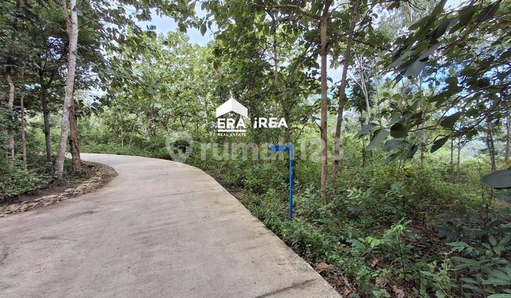 Yogyakarta Land for Sale - Kopi Puncak Rindu, Perfect for a Cafe Yogyakarta Land for Sale - Kopi Puncak Rindu, Perfect for a Cafe