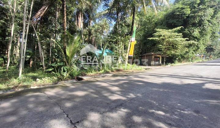 Tanah Dijual Jogja Cangkringan Dekat Kalurahan Glagahharjo Tanah Dijual Jogja Cangkringan Dekat Kalurahan Glagahharjo