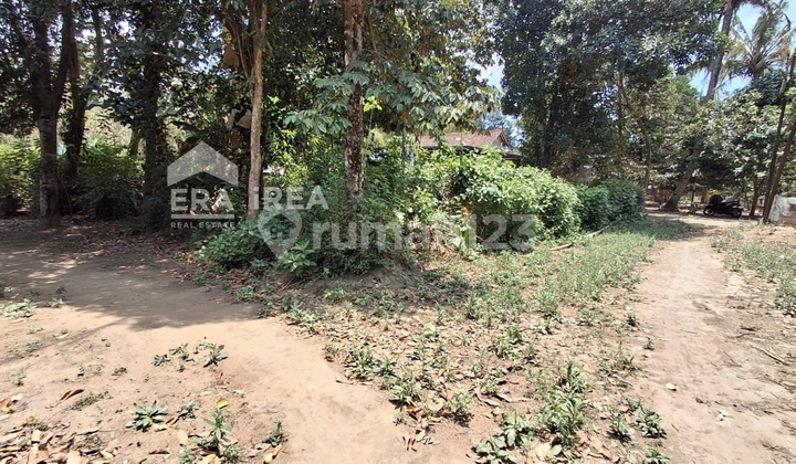 Tanah Jogja Murah Dekat Hotel Hyatt