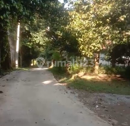 Tanah Kavling Desa Karacak Siap Panen Duren Manggis (73597 LAN)