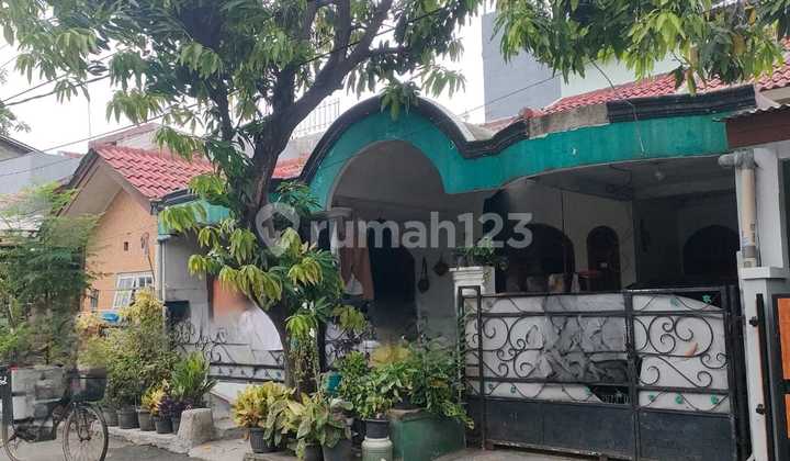 Rumah Akses Mudah 10 Menit dari Jakarta di Pesona Anggrek (73490 LAN) Rumah Akses Mudah 10 Menit dari Jakarta di Pesona Anggrek (73490 LAN)