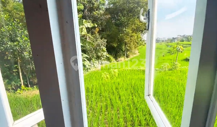 Modern House View of Rice Fields. Cool Fresh Air in Cileunyi Bandung 1