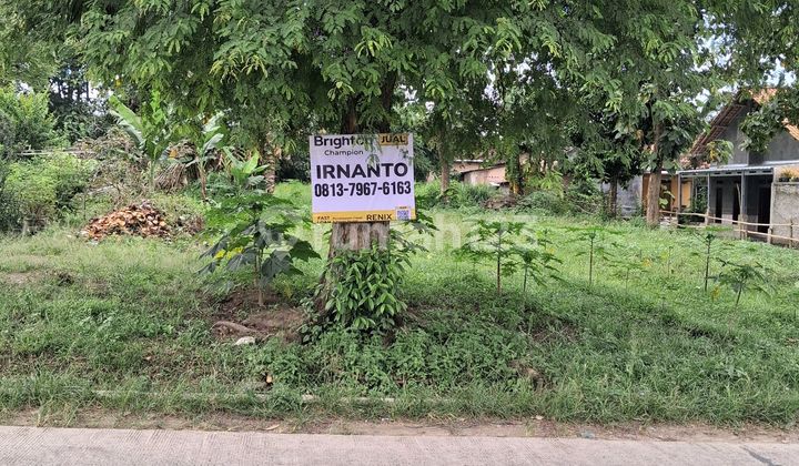 Tanah di Tanjung Sari Luas 4400M SHM