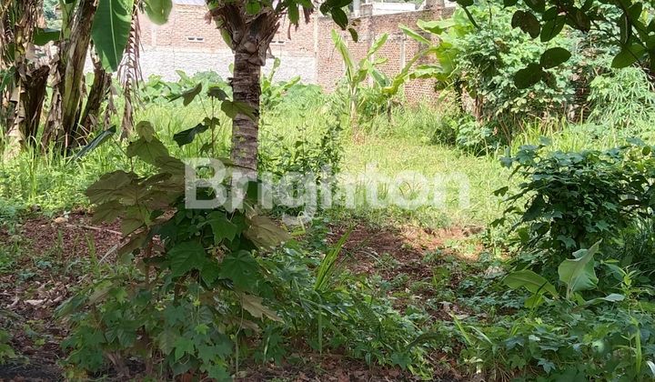 Tanah Dijual di Belakang Rs Airan Raya Tanah Dijual di Belakang Rs Airan Raya