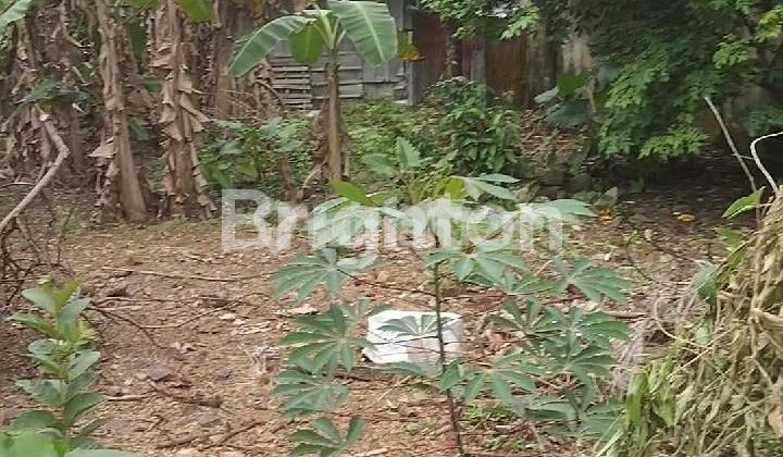 JUAL MURAH TANAH DI SIDOMULYO 