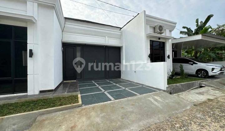 ********.kemiking Affordable Price