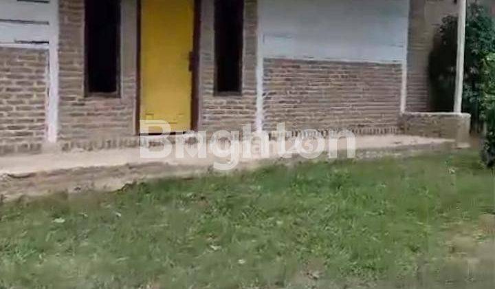 Dijual Cepat Rumah dan Kandang Ayam 1