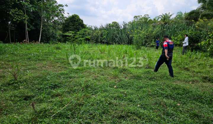 Tanah Strategis Harga Menarik Sukadana Lamtim