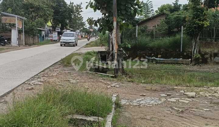 Tanah Strategis Luas 963 di Jalan Ra Basyid Lampung Selatan