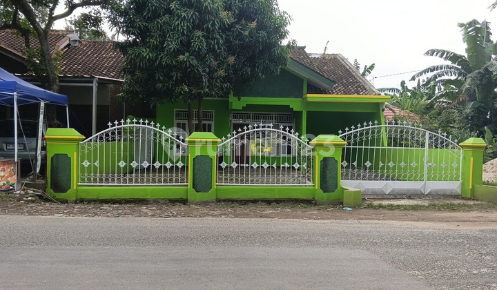 Rumah Siap Huni Harga Terjangkau Di.pulau Damar Lampung Rumah Siap Huni Harga Terjangkau Di.pulau Damar Lampung