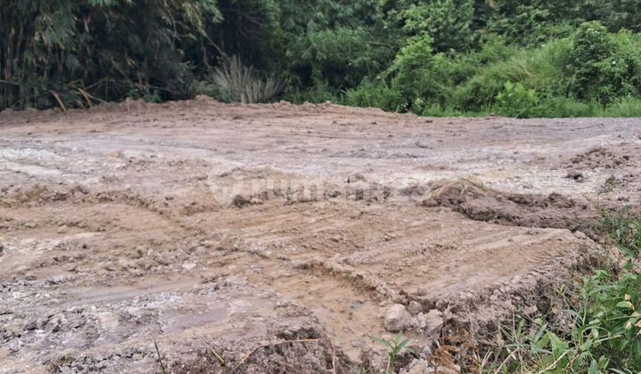 Tanah Kavling Siap Bangun Lt 156M2 di Pemukiman Padat Penduduk Sukabumi Lampung Tanah Kavling Siap Bangun Lt 156M2 di Pemukiman Padat Penduduk Sukabumi Lampung
