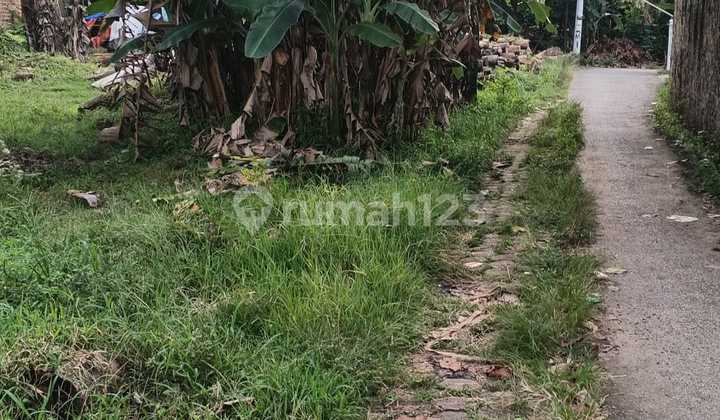 Tanah Strategis di Jalan Sri Krisna Lingso Rajabasa Tanah Strategis di Jalan Sri Krisna Lingso Rajabasa