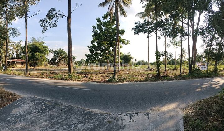 Tanah 1 Hektar Lebih Kondisi Tanah Bagus