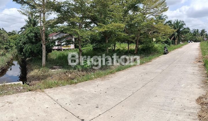 Tanah Luas 672 Di Tanjung Datuk Murah Guys. Tanah Luas 672 Di Tanjung Datuk Murah Guys.