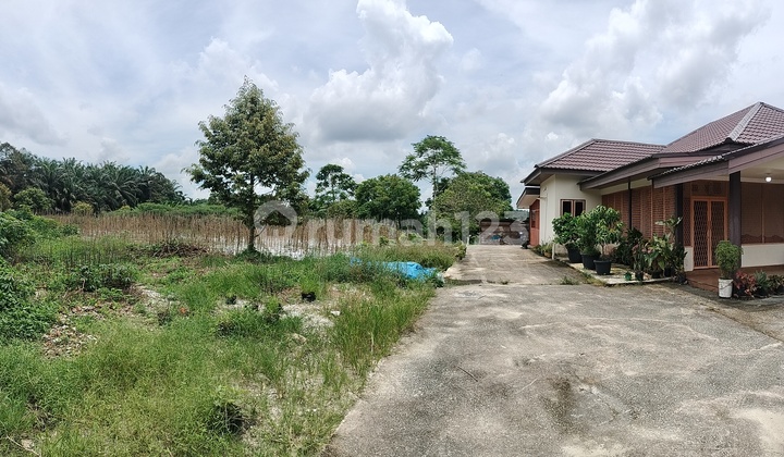 Tanah Investasi Kebun Dan Rumah Tinggal. 