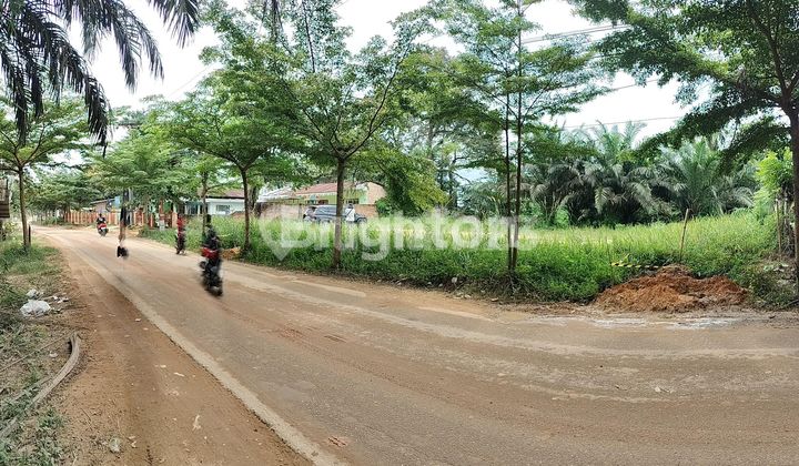 Tanah Keras Siap Bangun Di Jalan Budi Luhur Tenayan Raya Tanah Keras Siap Bangun Di Jalan Budi Luhur Tenayan Raya