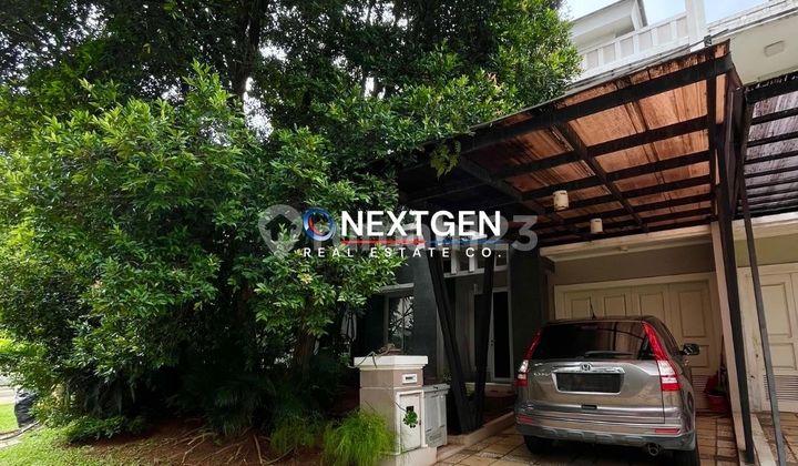 Turun Harga Dijual Cepat dan TERMURAHHH Rumah Pascal Gading Serpong 10x18 dekat UMN‼ Turun Harga Dijual Cepat dan TERMURAHHH Rumah Pascal Gading Serpong 10x18 dekat UMN‼