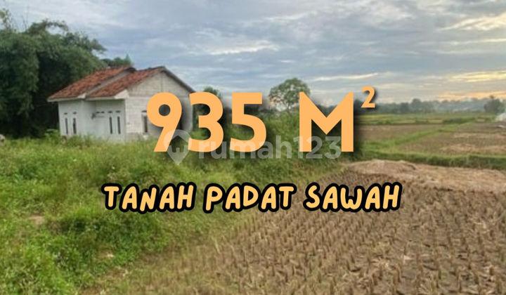 Tanah Padat Sawah Legok Tanah Padat Sawah Legok