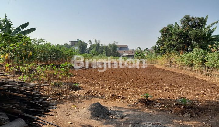 1.5Ha land suitable for building a business
