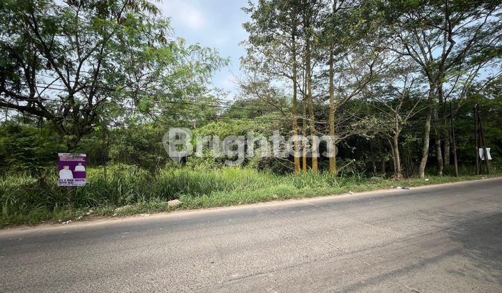 3 MILLION ONLY, GET LAND FOR INVESTMENT