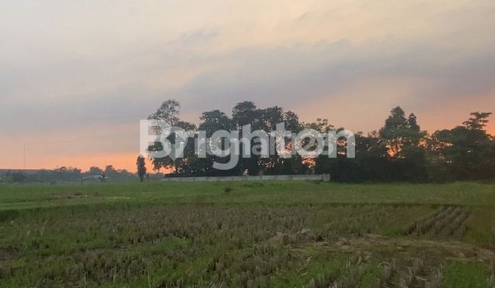 Tanah Strategis & Harga Miring Di Legok