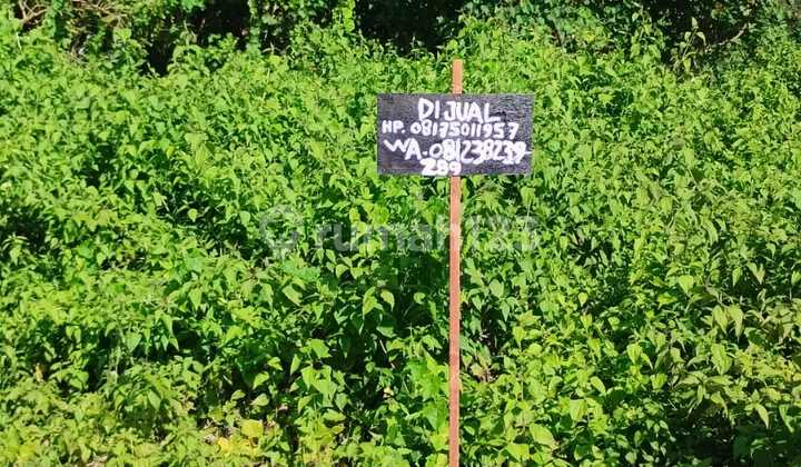 Tanah Komplex Villa Darmawangsa