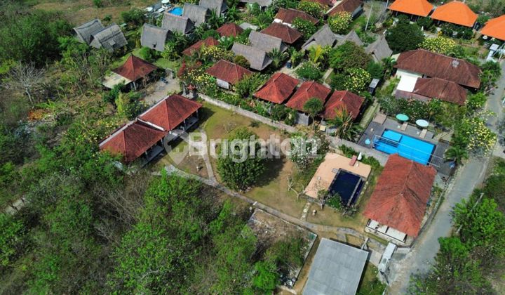 Sewa Guest House Nusa Lembongan Sewa Guest House Nusa Lembongan