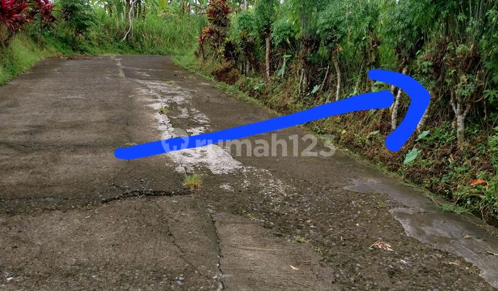 TANAH KAVLING STARTEGIS DI JL RAJAWALI TABANAN TANAH KAVLING STARTEGIS DI JL RAJAWALI TABANAN