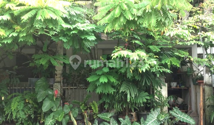 Rumah Murah 2lt di Jl Tawakal 2, Tomang,Grogol Petamburan 2