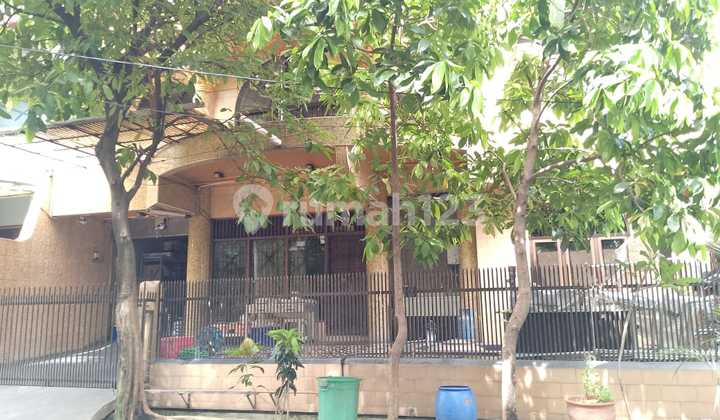 Rumah Murah 2lt di jl kebon raya 8,Duri kepa,Kebon Jeruk 2