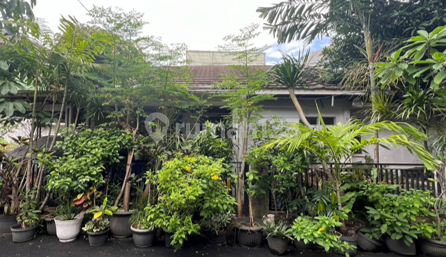 Rumah Murah di Jl Cempaka Putih Indah,Percetakan Negara