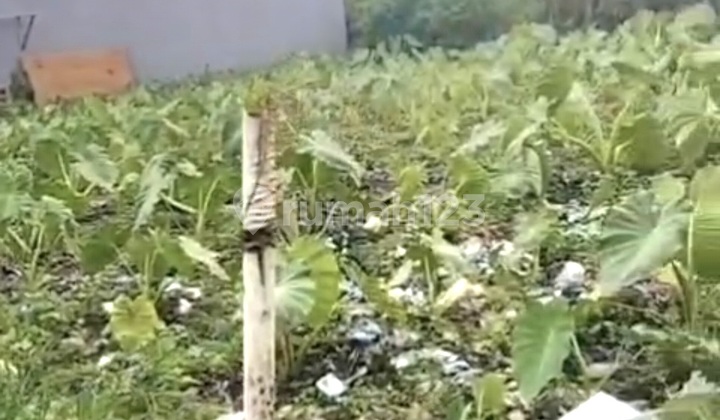 Dijual Tanah Sudah Urug di Keputih