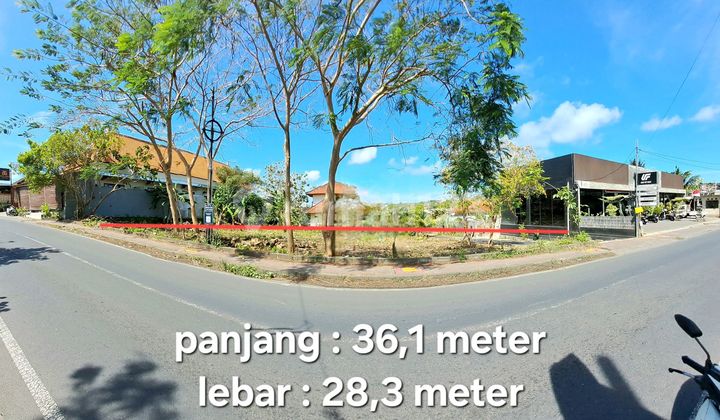 Land for Rent 10 Ares Located on the Side of Labuan Sait Street, Pecatu, South Kuta Land for Rent 10 Ares Located on the Side of Labuan Sait Street, Pecatu, South Kuta