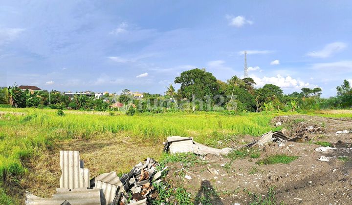Land for Sale Located Around Nyanyi Beach Road, Beraban, Tabanan