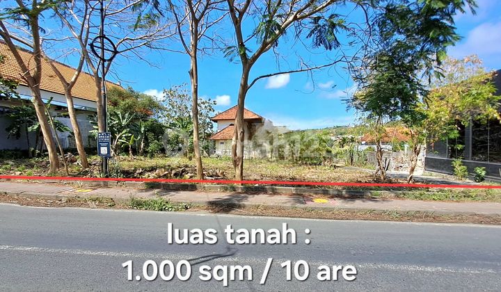 Land for Rent 10 Ares Located on the Side of Labuan Sait Street, Pecatu, South Kuta Land for Rent 10 Ares Located on the Side of Labuan Sait Street, Pecatu, South Kuta
