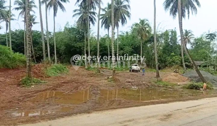 Land for Sale in Rumpin, Bogor