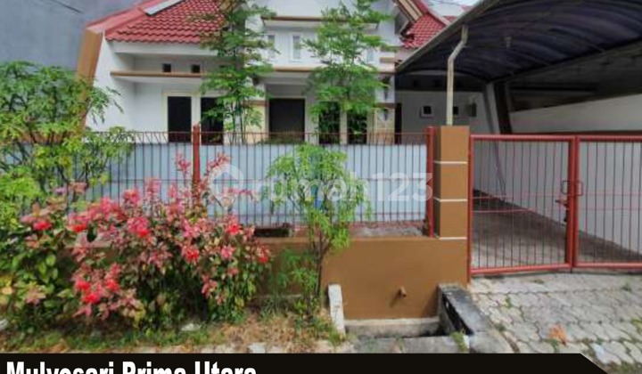 Disewakan Rumah Mulyosari Prima Utara Surabaya Disewakan Rumah Mulyosari Prima Utara Surabaya