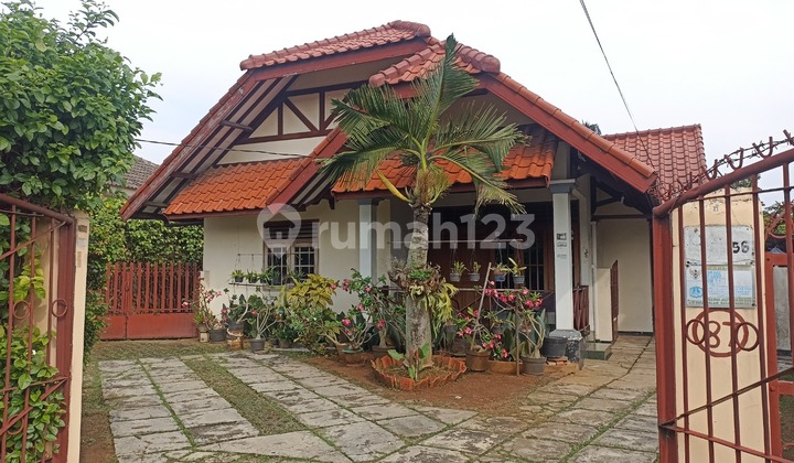 Rumah Asri + Paviliun Halaman Luas