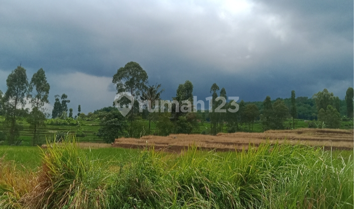 Dijual Tanah Di Area Wisata Kabupaten