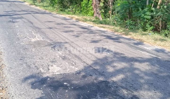 Land For Sale In The Village - Ngawi, East Java at Tugu Village, Kedunggudel, Cepoko, Ngrambe, Ngawi, East Java, Indonesia, 63263, Walikukun.