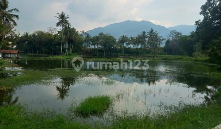 Dijual Tanah Berupa Kolam Di Pangatikan Kab Garut