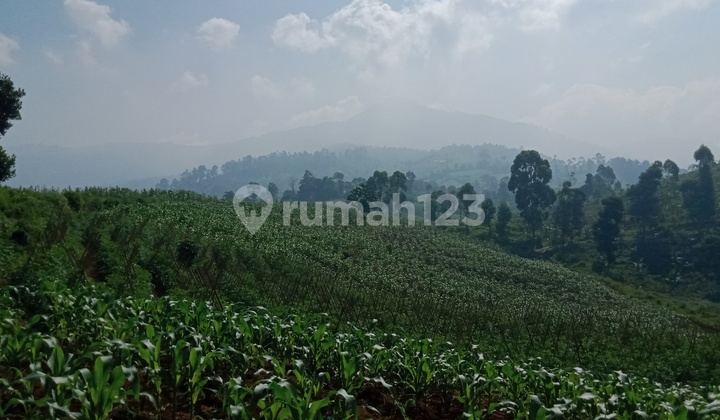 Dijual Tanah Di Ujungberung Bandung Dijual Tanah Di Ujungberung Bandung