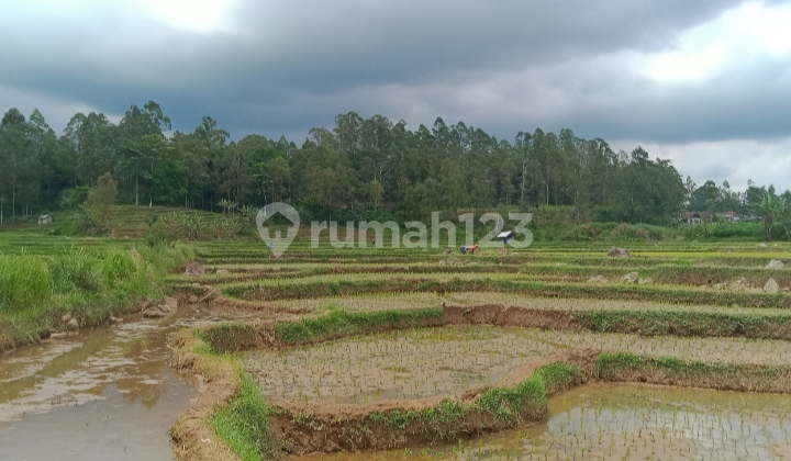 Dijual Tanah Di Area Wisata Kabupaten