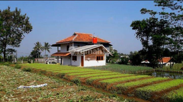 Juak Rumah / Villa Di Pasirhuni.-cisaat - Sukabumi 1