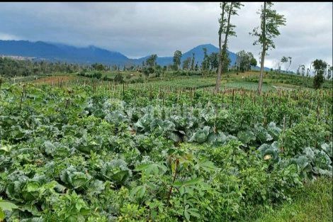 Land for Sale in Tanjungsari, Sumedang